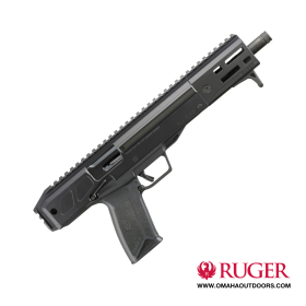 Ruger 10/22 FS Lite