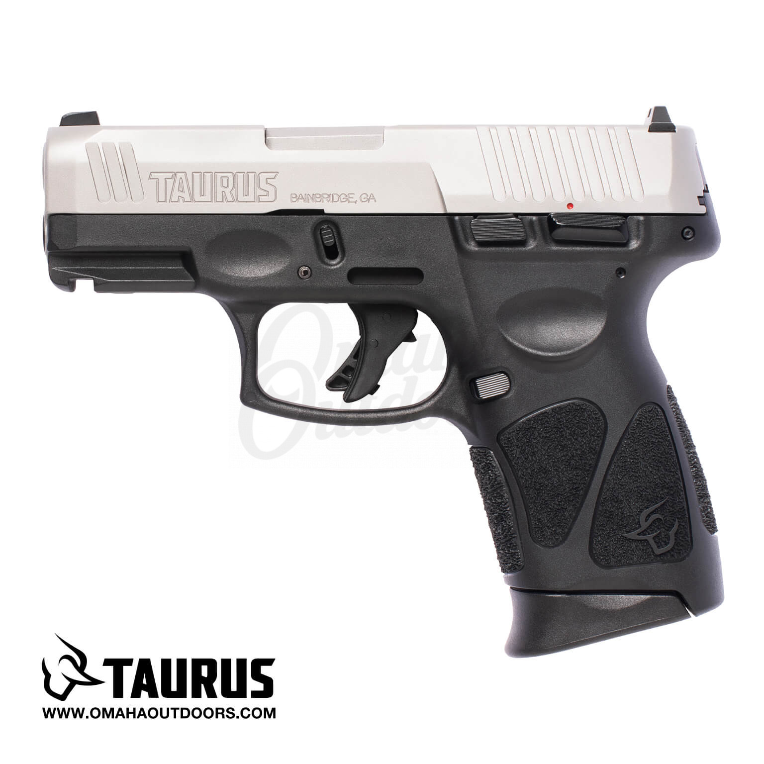 Chrome Taurus 9mm