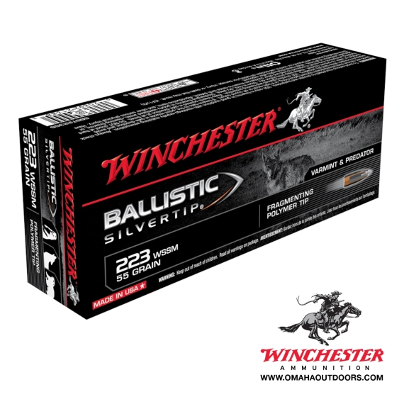Winchester ballistic silvertip 223 wssm 55gr